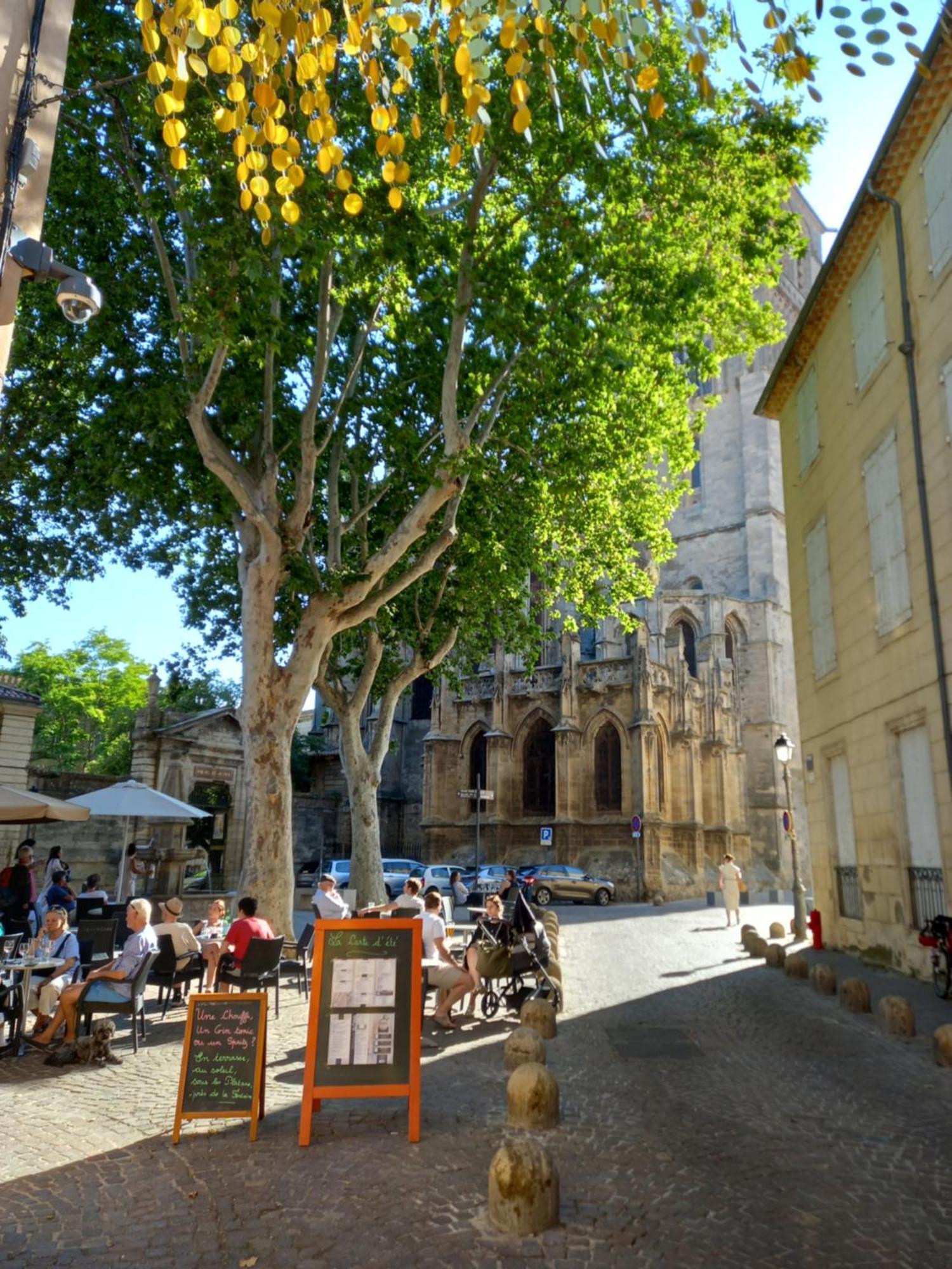 T3 Aqui Es Besiers - Centre-Historique - Cathedrale & Halles - Clim - Wifi - Free Parking Sur Demande بزييه المظهر الخارجي الصورة
