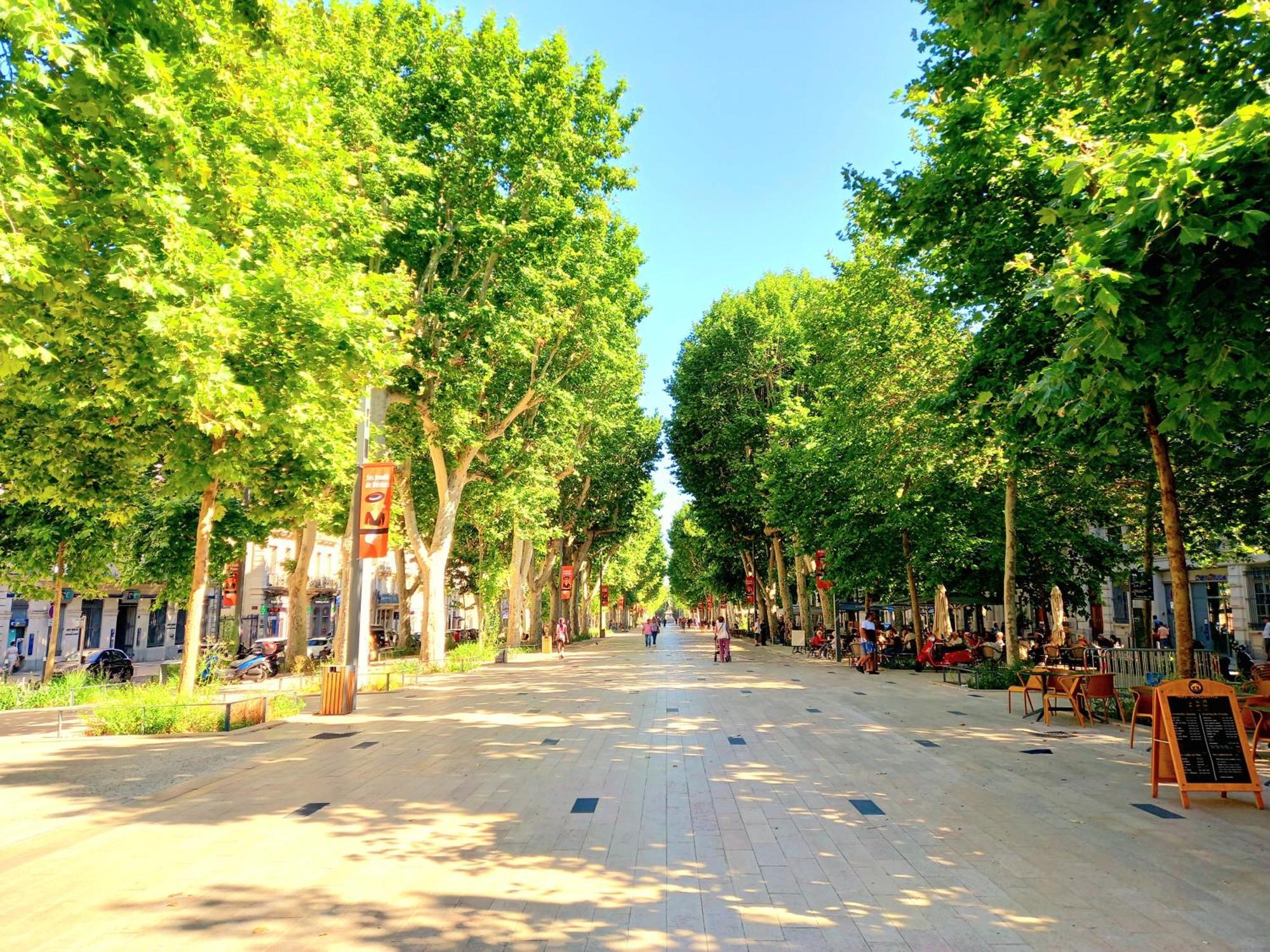 T3 Aqui Es Besiers - Centre-Historique - Cathedrale & Halles - Clim - Wifi - Free Parking Sur Demande بزييه المظهر الخارجي الصورة